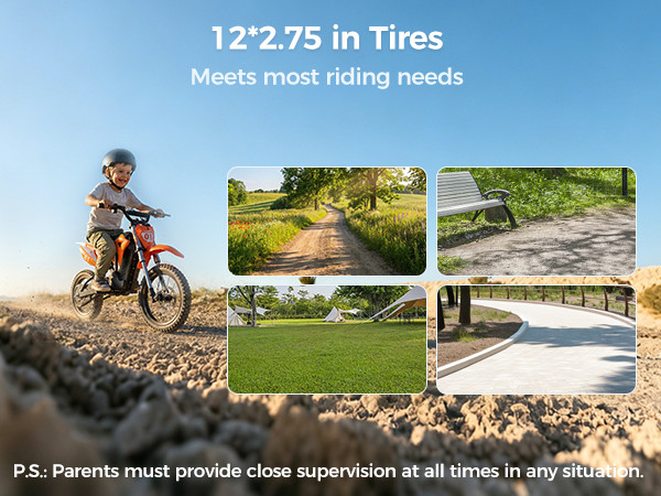Kids Motorcycle Mini Electric Dirt Bike 36V 300W 3Speed 12.4 Miles Gift