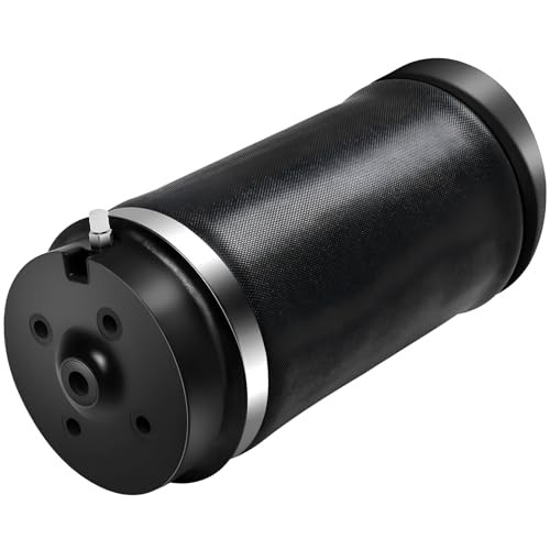 Air Ride Suspension Spring Bag for Benz R320 R350 R500 R550 R63 AMG OEM