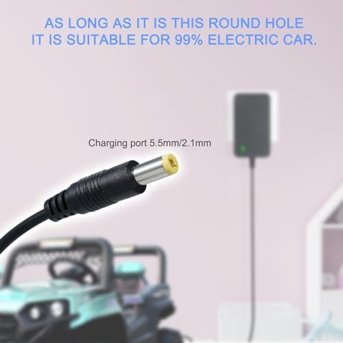 24V Charger for Kids Ride on Toys Car,24 Volt Kids Ride Battery Chargers,24