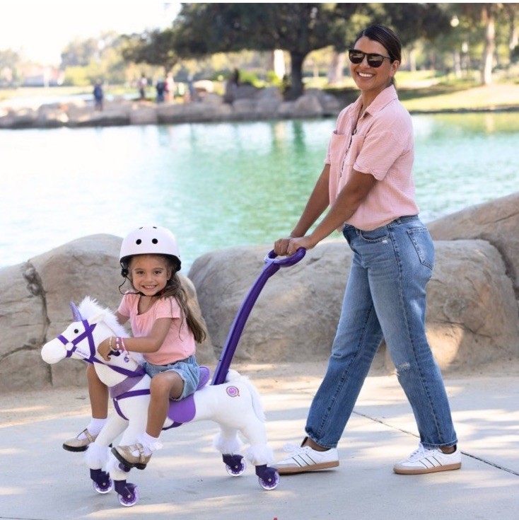 Power Pony Push Riding Toy – Crystal Ages 2 And Up Brand New
