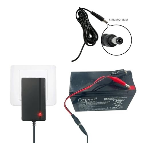 Universal 12V & 24V Charger for Kids Ride-On Cars, Power Wheels, LED Lights, Ele