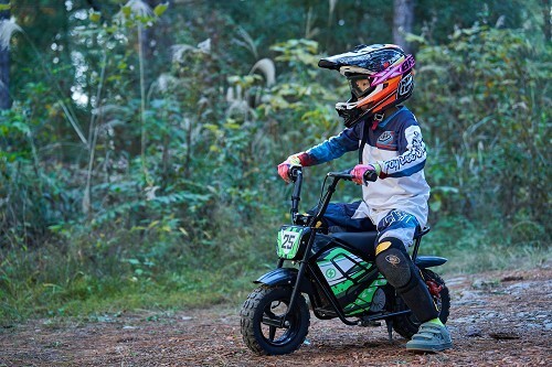 MotoTec 24v 250w Electric Powered Mini Bike Black