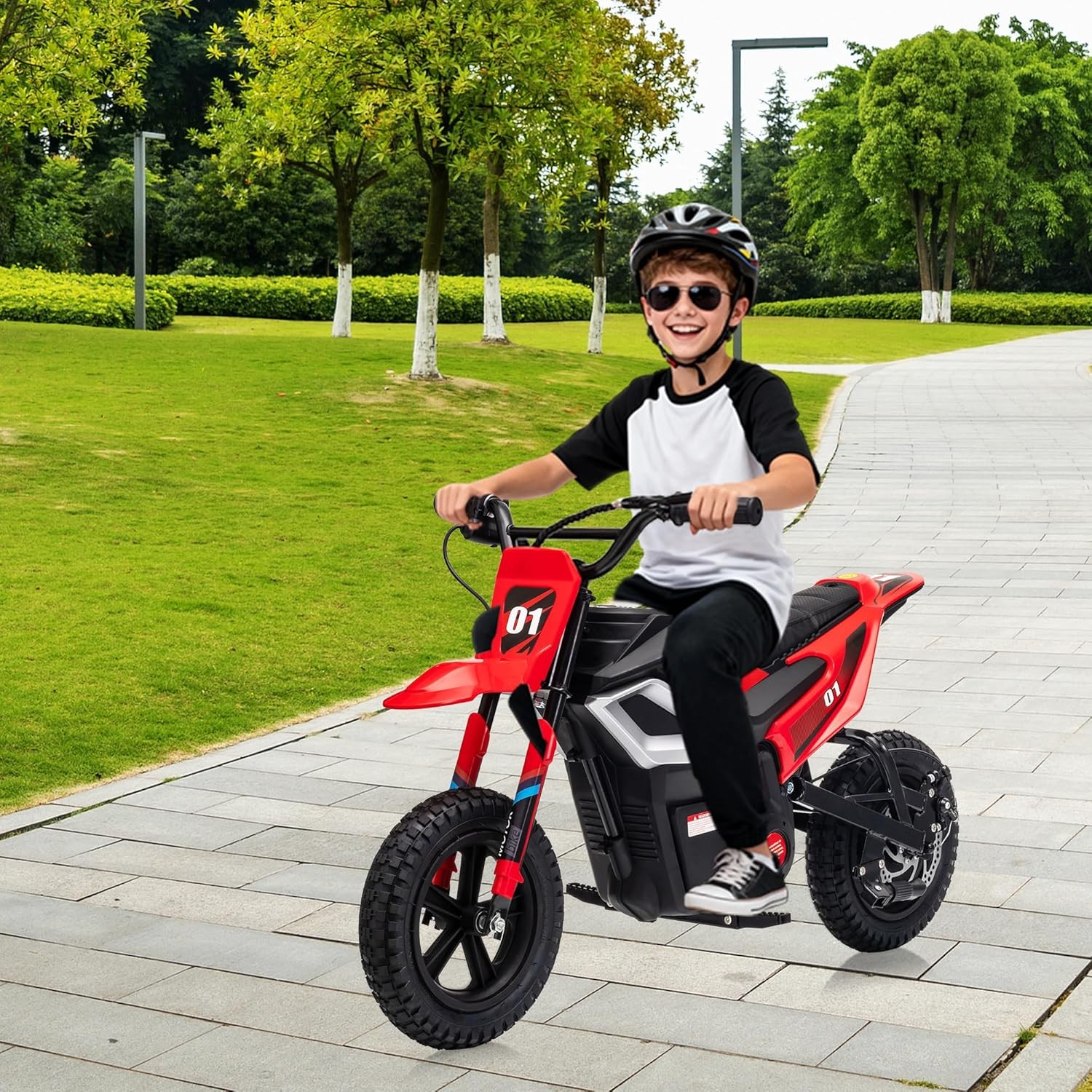 24v Ride on Motorcycle for Kids 350w Mini Dirt Bike 14 MPH Red