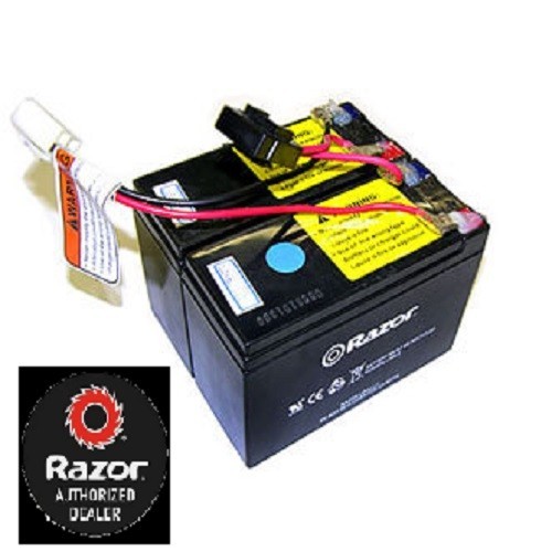Genuine Razor Battery 24V Indian eFTR Mini, MX350 V33+, MX400, Pocket Mod