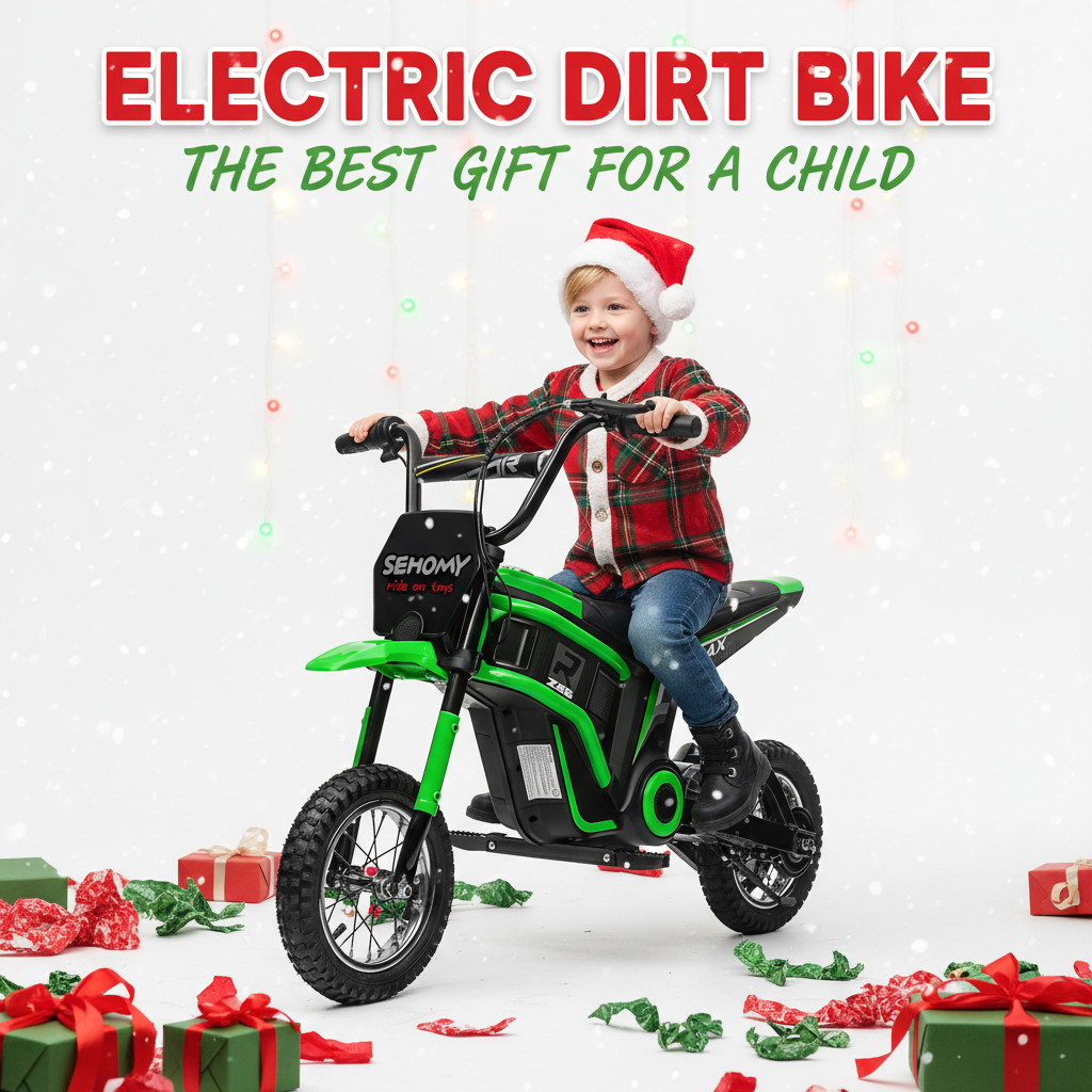 24V Electric Dirt Bike Off-Road Motorcycle For Kids 350W Motor Pneumatic Tire​