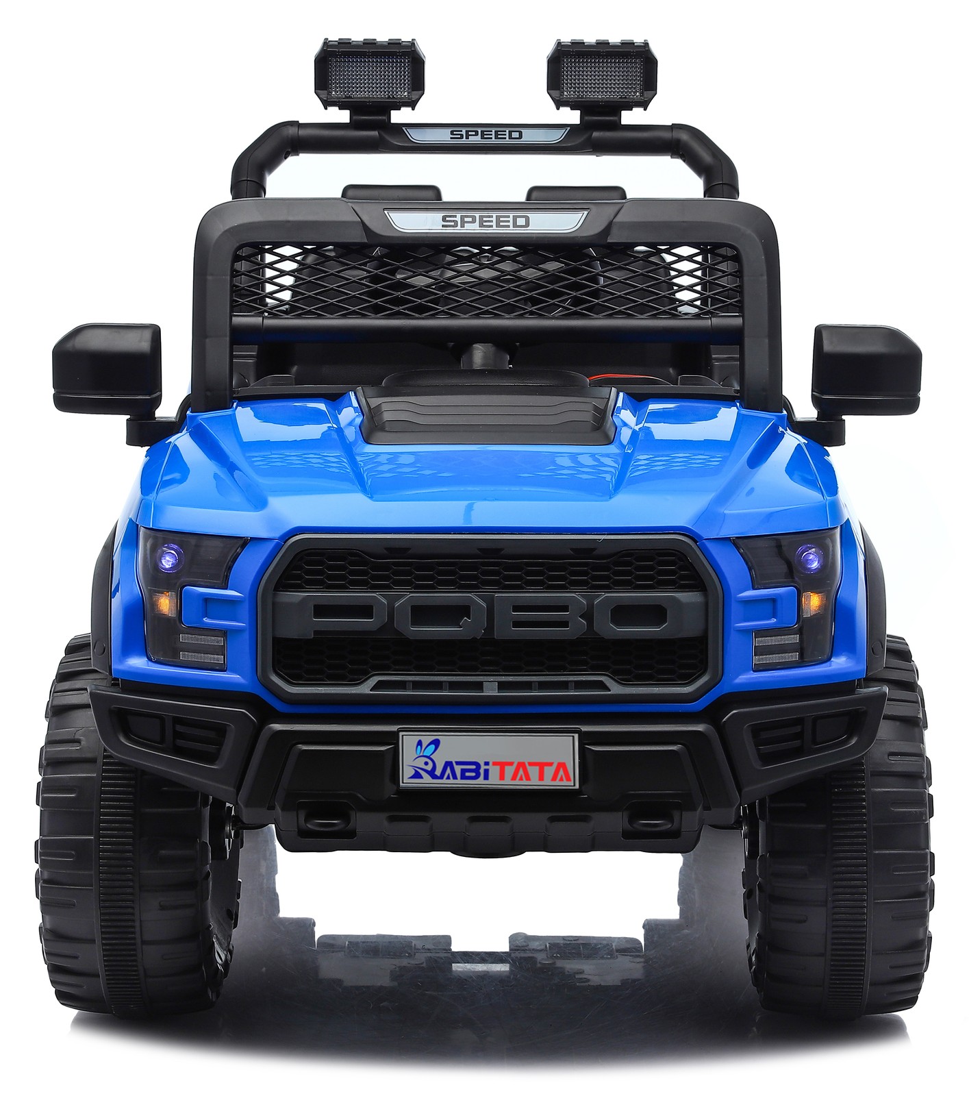 12V Kids Electric Ride On Car 2 Motors Off Road RC LED Music Swing 4WSA 3-8Y