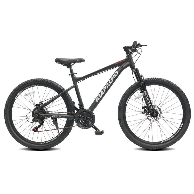 26in Mountain Bike w/ Disc Brakes 21-Speed Bicycle for Trail Riding & Touring