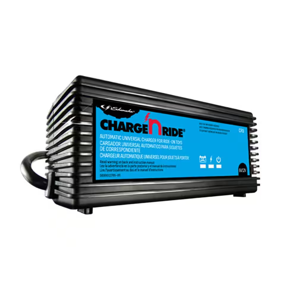 Charge ‘N Ride 3-Amp Battery Charger for Ride on Toys, Includes 5 Connectors, Co