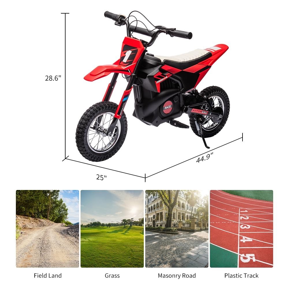 24V Kid Ride on Electric Off-Road Motorcycle 250W Fast Speed Dirt Bike Motocross