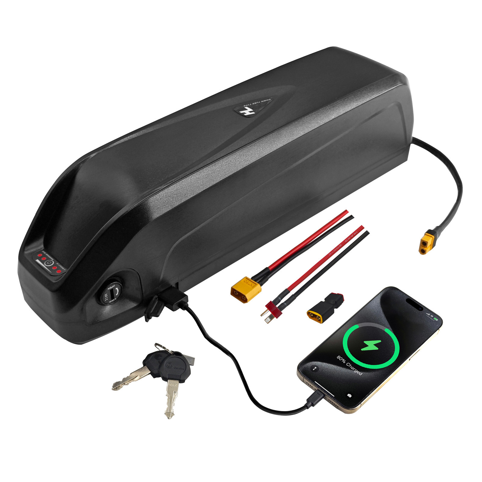 48V 20Ah 16Ah 10Ah Lithium ion Battery Pack, Replacement Batteries with 30A BMS