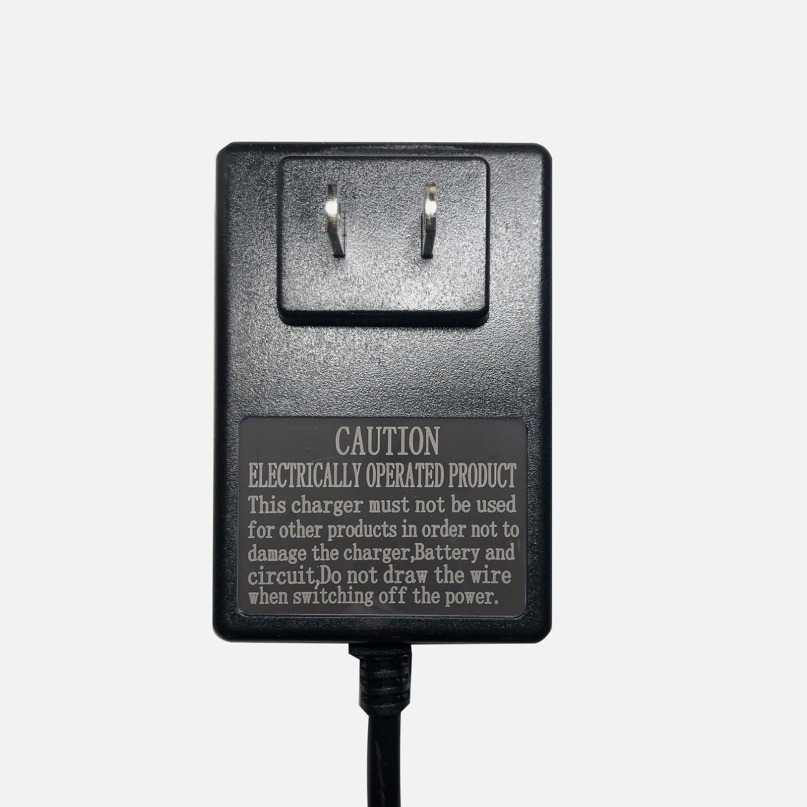 FLHFULIHUA12 Volt Charger for Kids Ride On Car Toys12v Battery Charger for Ya…